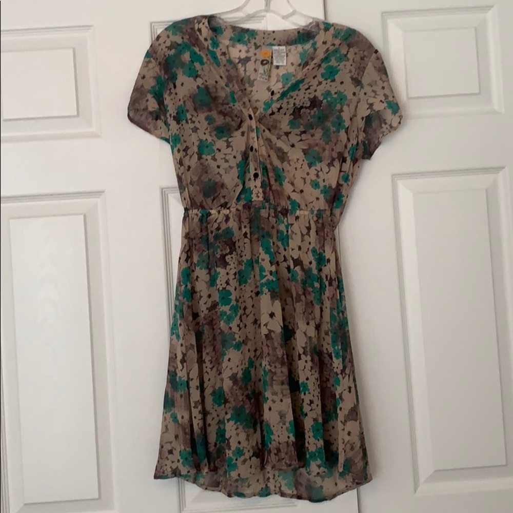 Sheer Floral Dress with Buttons